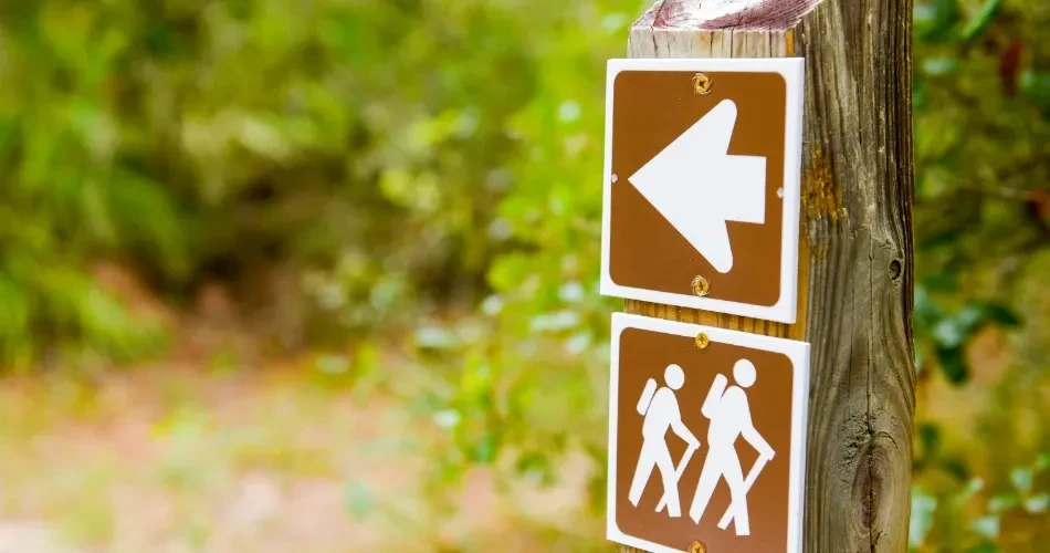 Top Hiking Paths in Lone Pine, USA for Every Experience Level