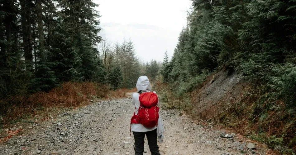 Top Hiking Paths in Lone Pine, USA for Every Experience Level
