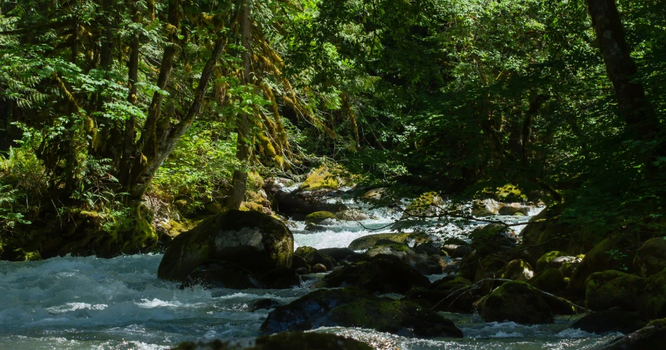 Best Scenic Relaxation Spots in Lone Pine, California: Peaceful Escapes Surrounded by Nature
